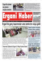 ERGANİ HABER